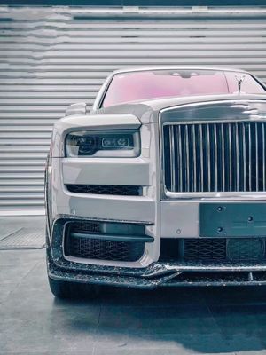 2018 - 2019 Cullinan Body Kit DW Style Lưỡi trước Diffuser Spoiler Widebody Kit